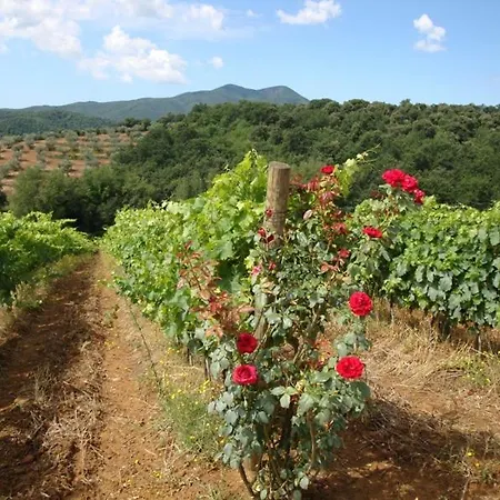 ホテル Montebelli & Country Caldana