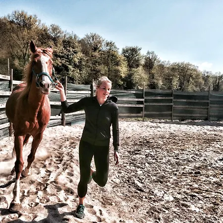 Montebelli & Country 4* Caldana