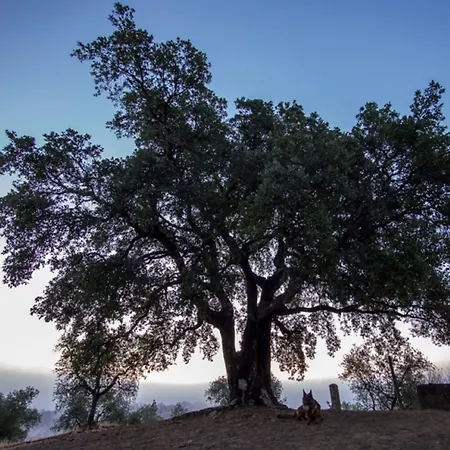 Montebelli & Country Hotel 4*