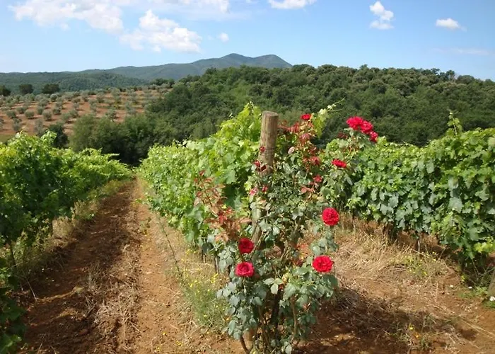 מלון Montebelli & Country Caldana