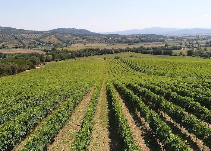 מלון Montebelli & Country