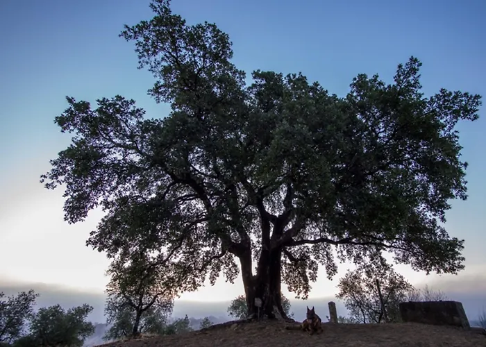 Montebelli & Country מלון 4*