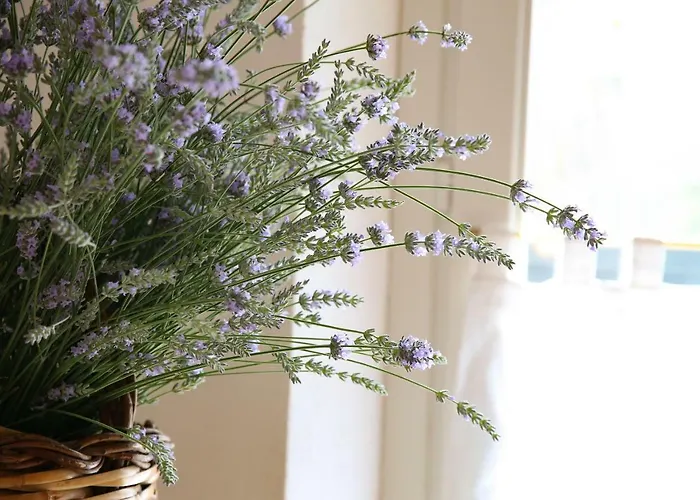 Montebelli & Country Caldana