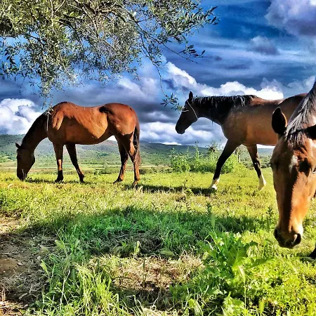 Montebelli & Country